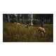 thumbnail image 3 of Way of The Hunter - Xbox Series X Microsoft Xbox, 3 of 13