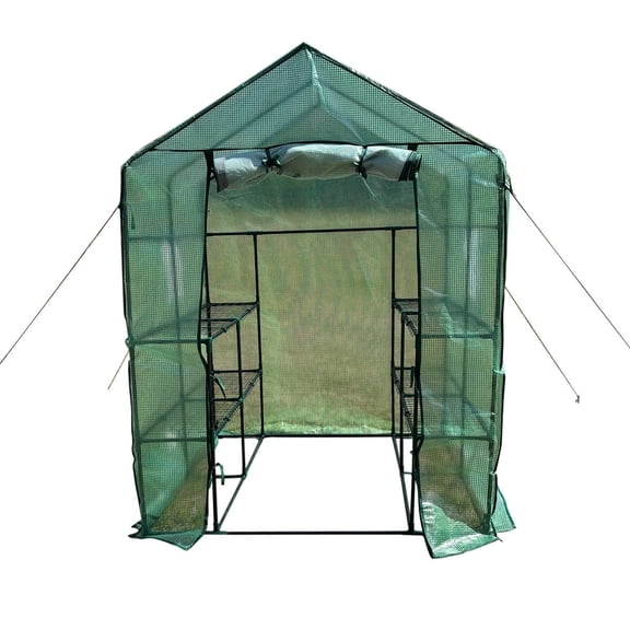 Walk-in Greenhouse with Shelves