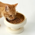 thumbnail image 7 of Basics Raised Cat Feeding Bowls, Cat Ear Shape, 2-Pack, 14 × 13 × 10.5 cm, White, 7 of 7