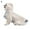 L, variant on FurNest Pet Dog Raincoat Hooded Puppy Rain-* Coat Clear Waterproof