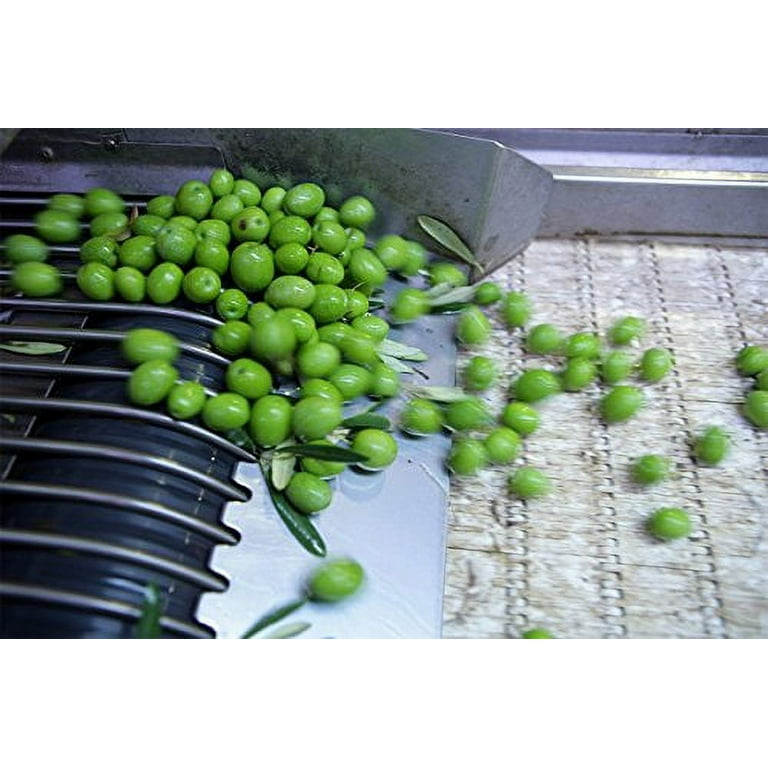 Gaea Olive Snack Pitted Green Olives, 2.3 Oz - Walmart.com
