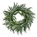 thumbnail image 3 of Vickerman RY191523 23 Po. Woolsey Pine Wreath Vert, 3 of 3