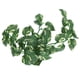 thumbnail image 1 of Planta Acuática Artificial, Paisajismo Plantas Artificiales Verdes Decorativas Simulación Para Paisajismo De Tanques De Reptiles Para Acuarios Para Peceras, 1 of 7
