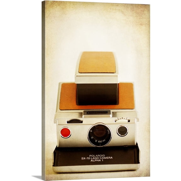 Great BIG Canvas | "Polaroid SX-70" Canvas Wall Art - 20x30