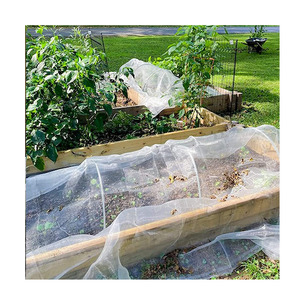 Garden Hoops for Netting, Crop Protection Hoops,Cloches Growing Vegetables,Rust-Free Grow Tunnel