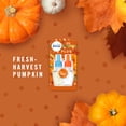 thumbnail image 6 of Febreze Odor-Eliminating Fade Defy PLUG Air Freshener Refill, Fresh-Harvest Pumpkin, (2) .87 fl. Oz. Oil Refills, 6 of 8
