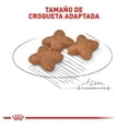thumbnail image 3 of Alimento Para Perro Royal Canin Small  Adulto Razas Pequeñas de 13.6 Kg, 3 of 3