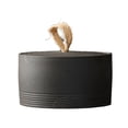 thumbnail image 1 of Boîte à Thé en Poterie Rugueuse avec Couvercle et Poignée de Transport Vintage Scellée pour la Maison, 1 of 5