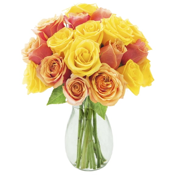 KaBloom : 9 Orange, 9 Yellow Roses in vase, Next-Day Delivery, Gift for Every Occasion.