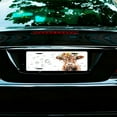 thumbnail image 7 of Calf with Floral Crown Front License Plate,Metal License Plate,Funny Standard Plates Personalized Novelty Decorative For Men/Women/Boys/Girls Car 6×12 Inch, 7 of 7