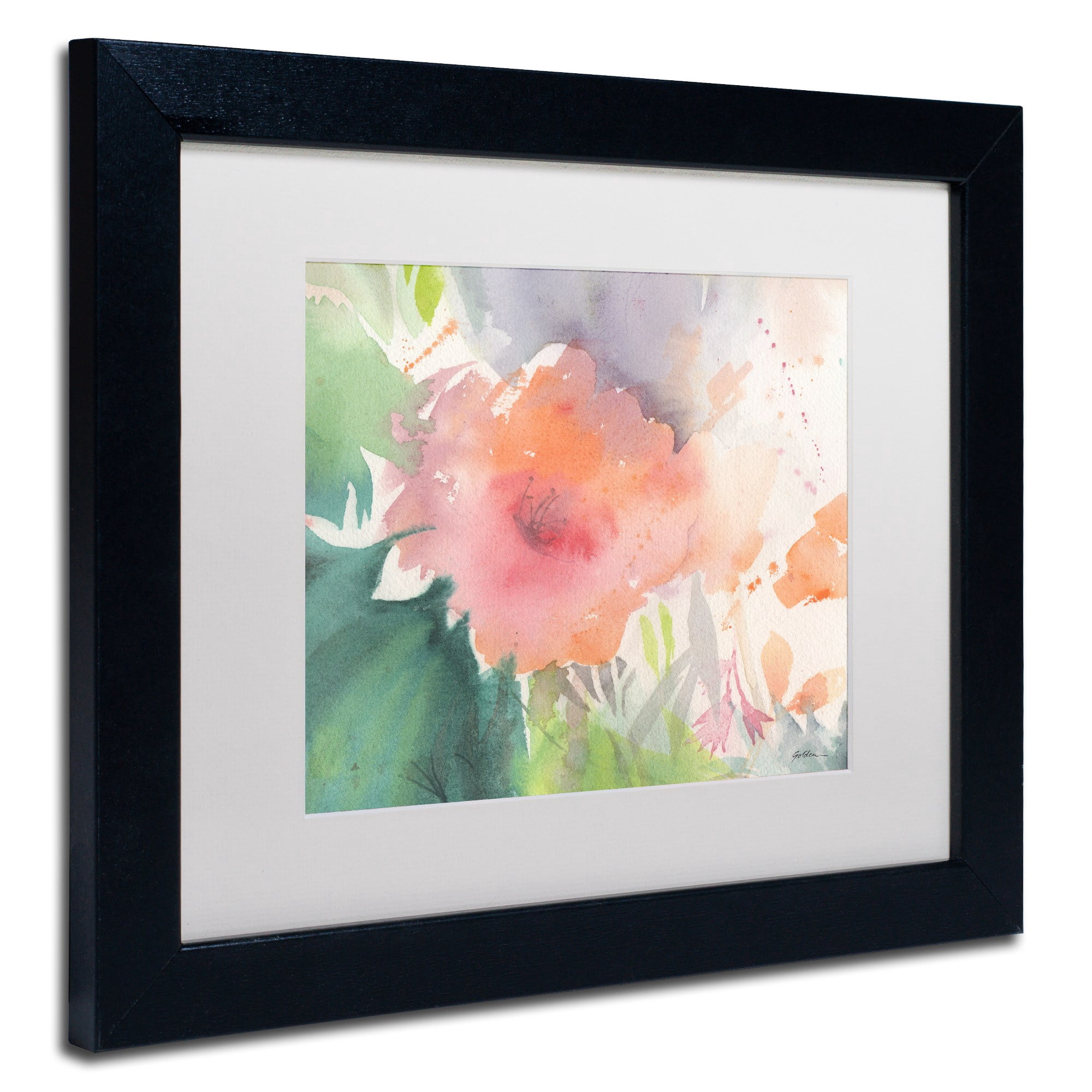 Trademark Fine Art "Coral Blossom" Canvas Art by Sheila Golden, White Matte, Black Frame