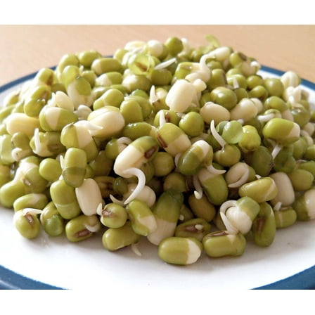 150 Seeds MUNG BEAN Moong Sprouts Golden Gram Green Vigna Radiata Vegetable Seeds