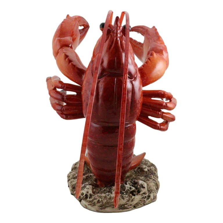 Kit de réparation minute (Verre) - Crazy Lobster