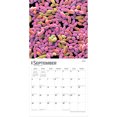 thumbnail image 4 of Microscopic World of Innerspace 2027 12x24" (Hanging) Wall Calendar | Plastic-Free, 4 of 9