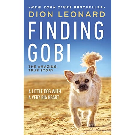 Pre-Owned Finding Gobi: A Little Dog with a Very Big Heart (Paperback) 0718098579 9780718098575