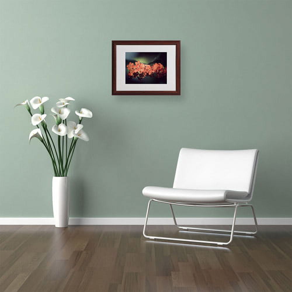Trademark Fine Art "Flowers Waiting" Canvas Art by Philippe Sainte-Laudy, Wood Frame