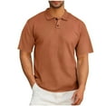 thumbnail image 3 of Yiliang 2025 Summer Mens Classic ColorBlocking Polo Shirt Beefy Muscle Short Sleeve Turndown Neck Garment Flexiable and Cozy Athletic Wear, 3 of 7