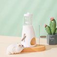thumbnail image 3 of Hamster Automatic Water Bottle Dispenser Leak-proof Double Ball Design Feeding Kettle Pet Supplies, 3 of 7
