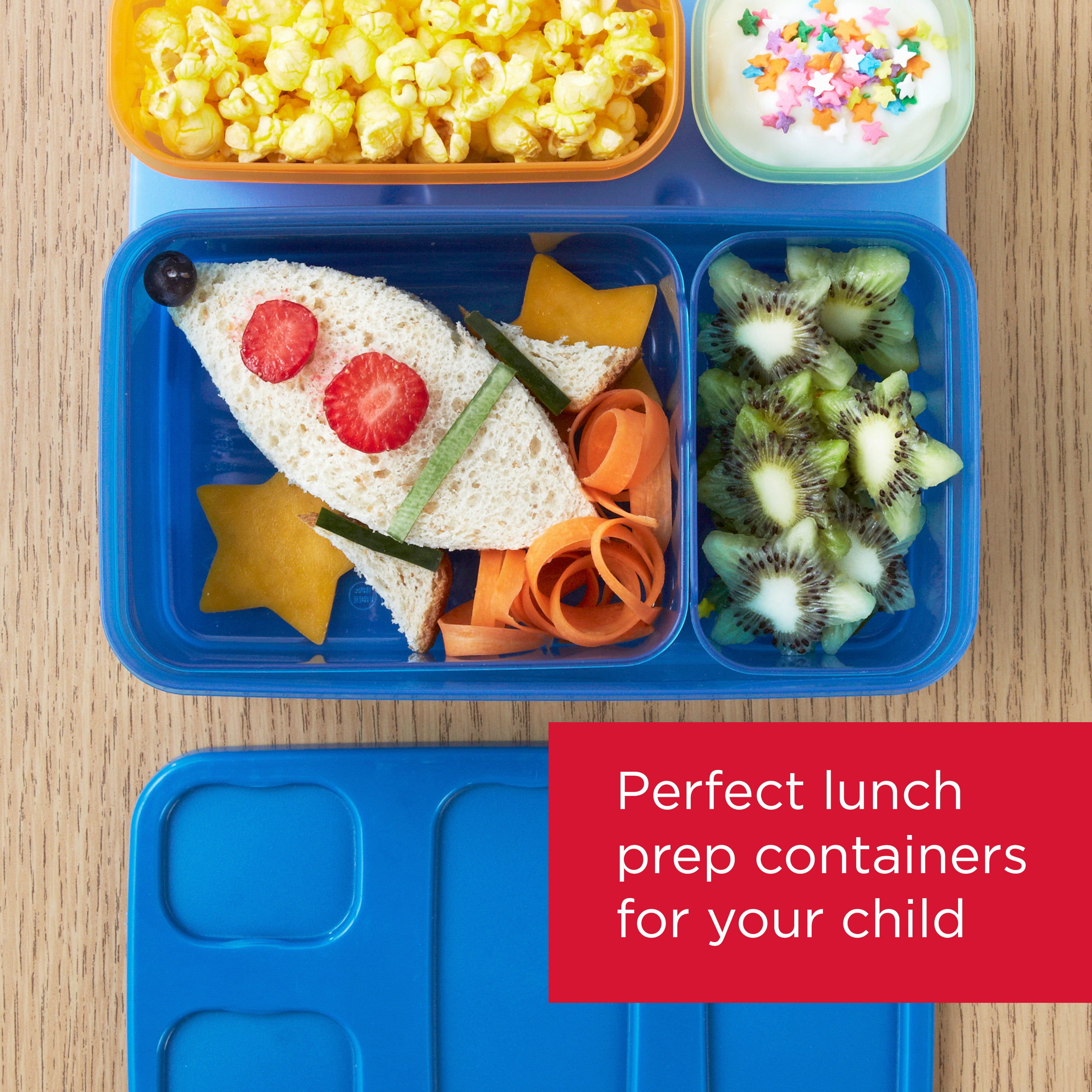 Rubbermaid LunchBlox Leak-Proof Entree Lunch Container Kit, Large, Blu –  ShopBobbys