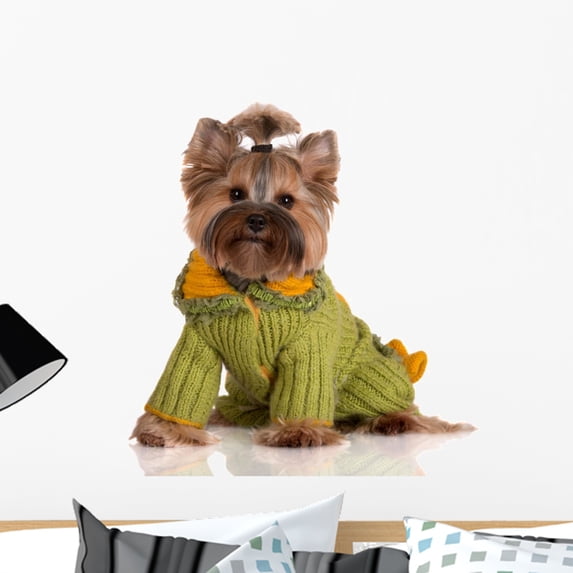 Adorable Yorkie Knitted Sweater Wall Mural by Wallmonkeys Peel and Stick Graphic (24 in H x 24 in W) WM202980