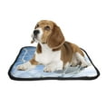 thumbnail image 2 of PKQWTM 3D Rendering Soccer Ball Net Pet Dog Cat Bed Pee Pads Mat Cushion Potty Dogsblankets Crate Bed Kennel 20x24 inch, 2 of 3