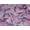 Pink Multi, variant on Minerva Sea Island Cotton Voile Fabric Red Multi - per yard