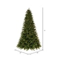 thumbnail image 3 of Vickerman 12' x 83" Douglas Fir Artificial Pre-Lit Christmas Tree, Warm White LED Mini Lights., 3 of 6