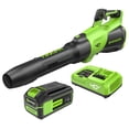 thumbnail image 1 of Soplador de hojas inalámbrico Greenworks 40 V 730 CFM 190 MPH con batería, 1 of 9