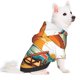 thumbnail image 2 of Balery Vintage Beach Sunset Sudadera con Capucha para Perros Pequeños – Ropa para Mascotas, Disfraz para Perros y Gatos, Ideal para Fiestas y Cosplay-X-Small, 2 of 7