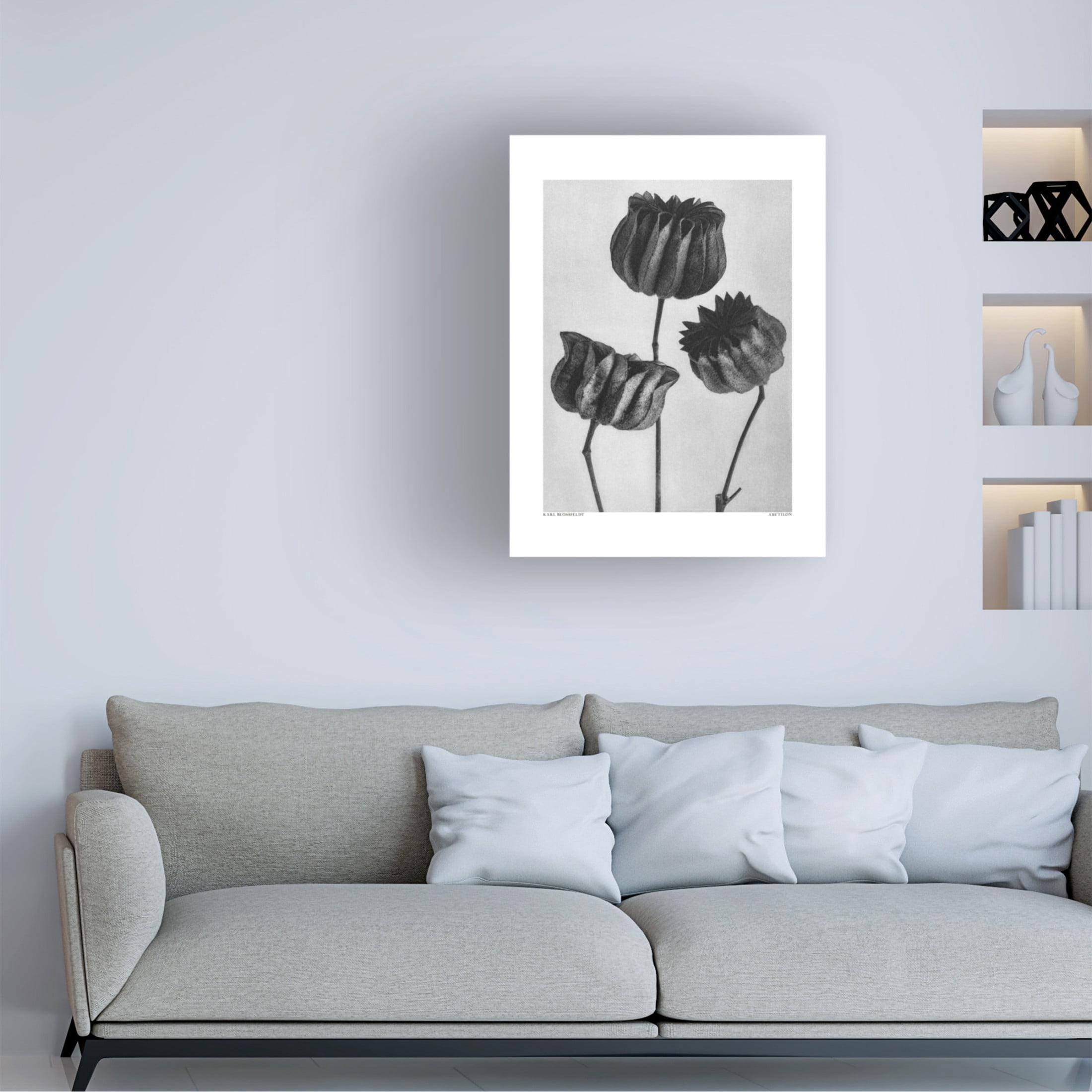 Trademark Fine Art Pictufy Abutilon Lime Mallow Canvas Wall Art