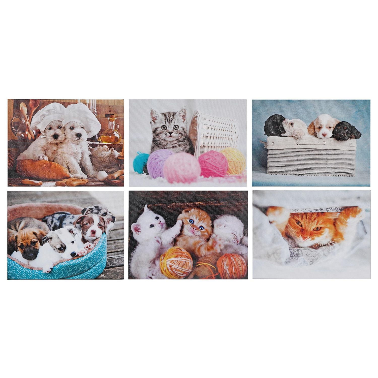 Canvas Wall Art Playful Pets - Set of 6