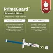 Prime Guard Apple Flavor Omeprazole Oral Paste Solution for Horses, 2.28 g, 5-Pack