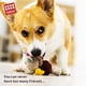 thumbnail image 3 of Dog Toys Plush Friends Puffy Animal donkey, 3 of 5