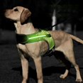 thumbnail image 1 of New K-shaped Luminous LED Harness For Pet Dog Chest Harness For Medium And Large Dogs Night Travel, 1 of 8