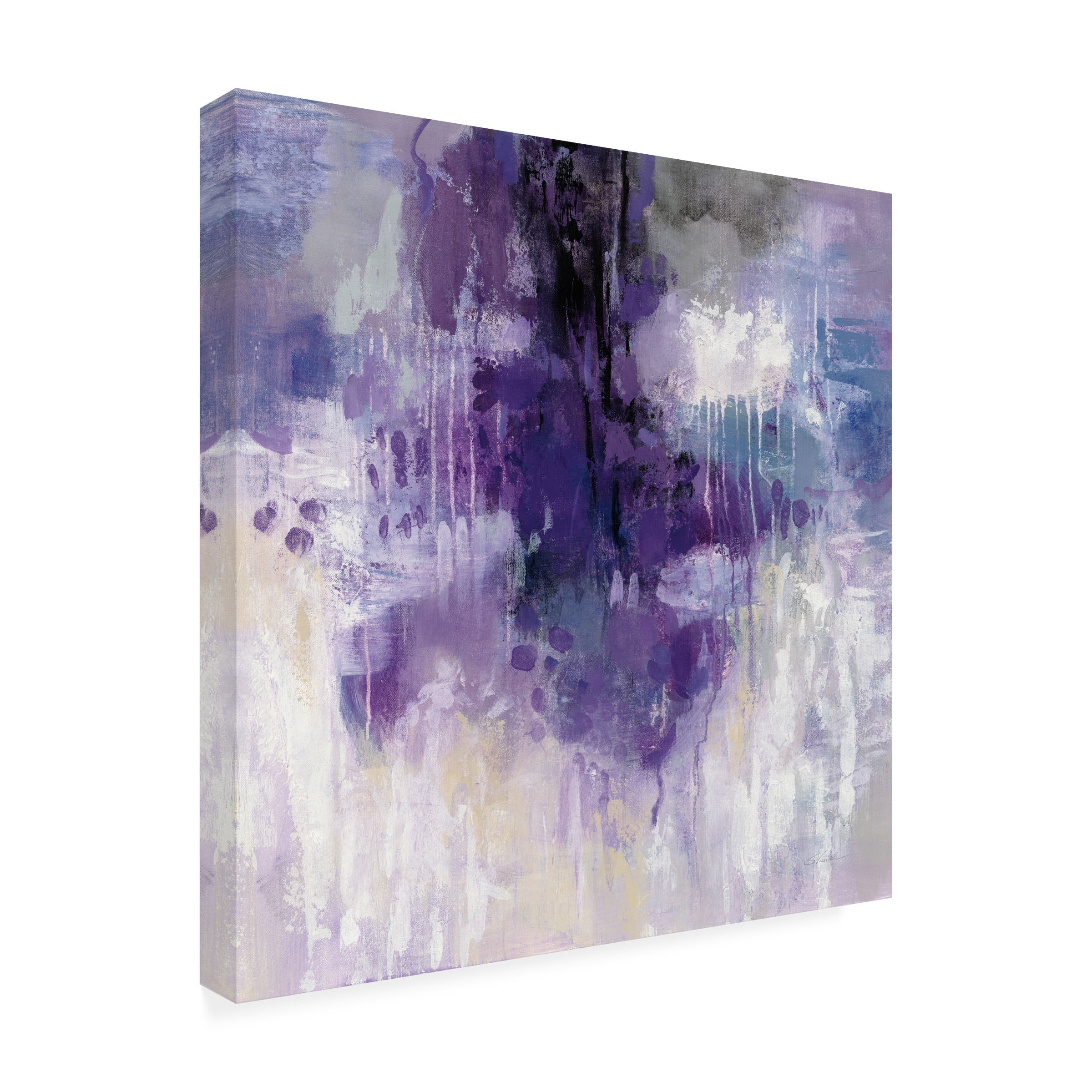 Trademark Fine Art 'Violet Rain' Canvas Art by Silvia Vassileva