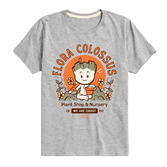 Marvel Guardians of the Galaxy - Flora Colossus Groot - Toddler And Youth Short Sleeve Graphic T-Shirt