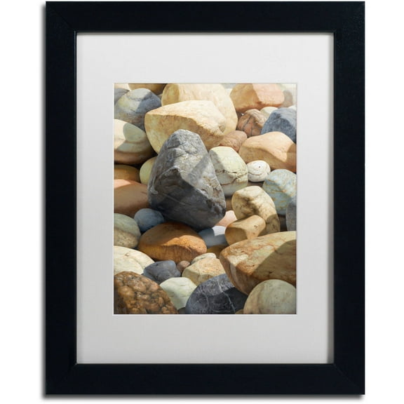 Stephen Stavast 'A Bolder View' Matted Framed Art