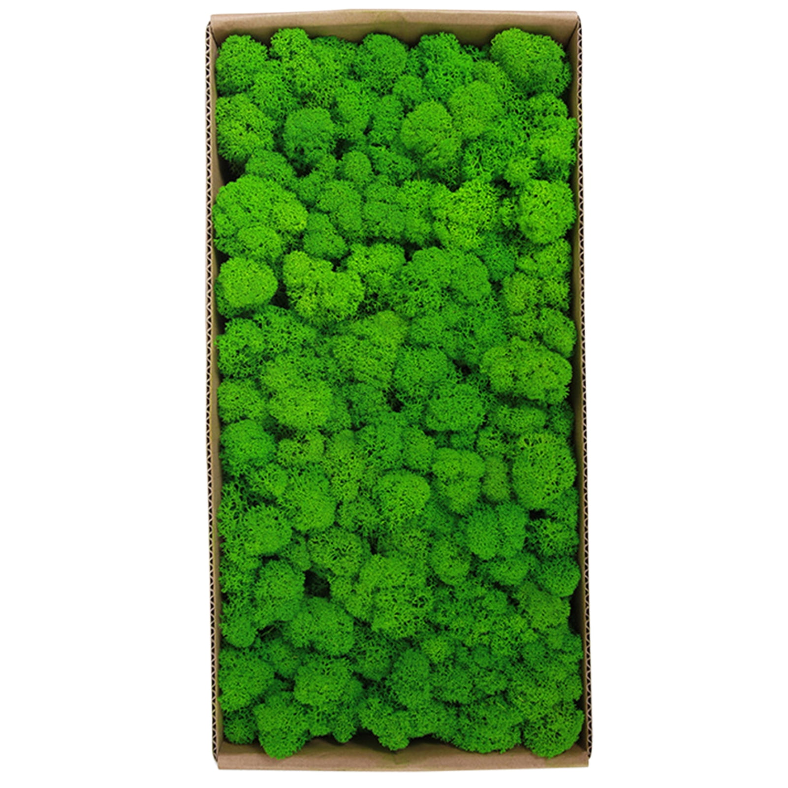 Real Preserved Moss Moss Preserved Moss Gardenning Art Wall Decor Moss Bulk Micro Landscape Decorative Props