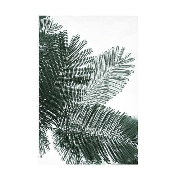 Trademark Fine Art Shot by Clint My Mint Moment 22 Canvas Wall Art