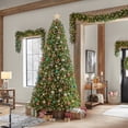 thumbnail image 2 of 9 ft. Barbour White Spruce Christmas Tree, 2 of 5