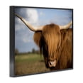 thumbnail image 2 of Stupell Industries Traditional Cow in Pasture Animal Landscape Photo Black Framed Giclee Art, 14 x 11, by Villager Jim, 2 of 7