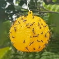 thumbnail image 4 of YiaNXan 10 Pack Sticky Fruit Fly Trap Ball, Hanging Adhesive Fly Catching Ball for Plants, Catching Indoor Outdoor Garden Kitchen Gnat Flying Insects Traps (Yellow), 4 of 9