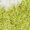 Green, variant on Multicolor Socks Women Furry Thickened Mid Tube Socks Warm Love Floor Socks Confinement Socks