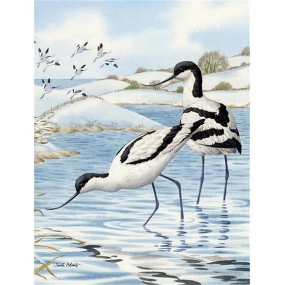 Avocets Flag Garden Size