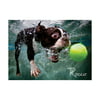 Underwater Dogs Rocco Jigsaw Puzzle Puzzle, 1000 Pieces