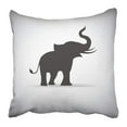 thumbnail image 1 of BOSDECO Tail Silhouette Elephants Trunk Alone Animal Child Hanging Pose Single Pillowcase 18x18 inch, 1 of 1