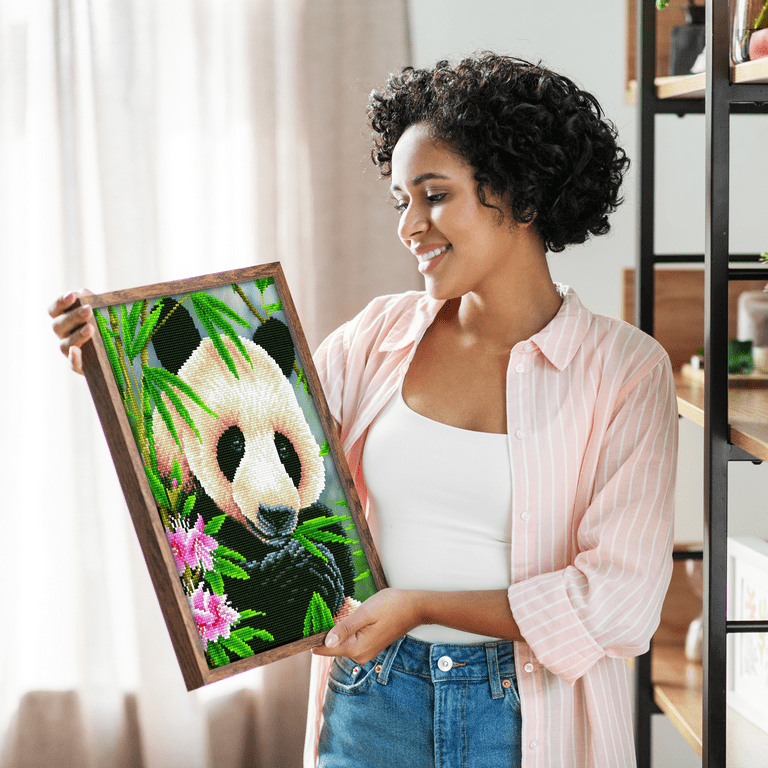 Diamond Dotz Panda Prince Diamond Painting Kits for Adults