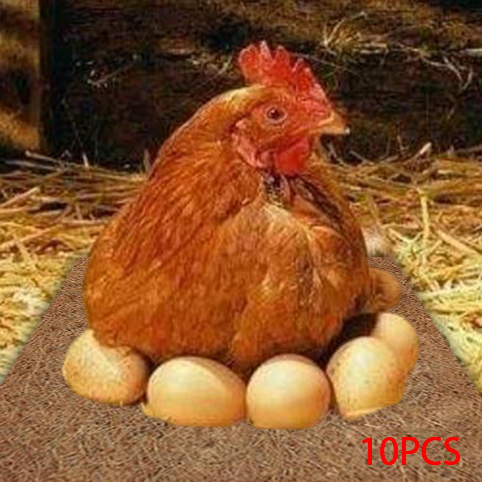 Chicken Nest Pads Chicken Coop Bedding Mats Nesting Boxes Liners Hen