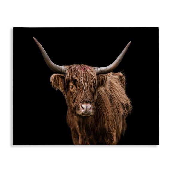 Stupell Industries Farmhouse Cattle Portrait over Black Canvas Art, 20 x 16, by Marika Moffit
