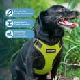 thumbnail image 2 of Voyager Step-In Lock Cat Harness - Adjustable Step-In Vest Harness for Small and Large Cats by Best Pet Supplies, 2 of 9